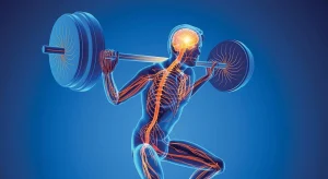 Влияние спорта на гормональный баланс