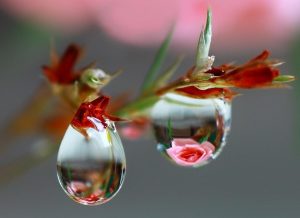 Почему важно радоваться мелочам: секреты счастья