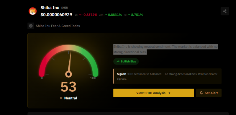 Спустя два года криптокит продал 14,5 млрд SHIB с убытком в 83%
