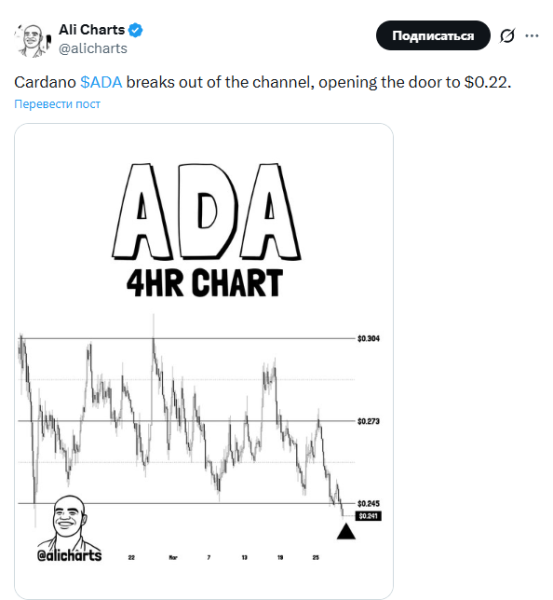 Аналитик Али Мартинес прогнозирует падение цены Cardano на 11%