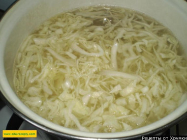 Классический борщ с мясом говядины и свинины