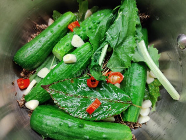 Огурцы малосольные в кастрюле холодным способом